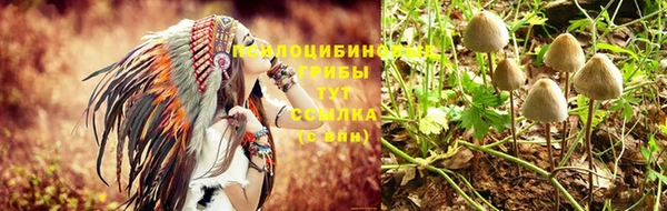 дурь Белоозёрский