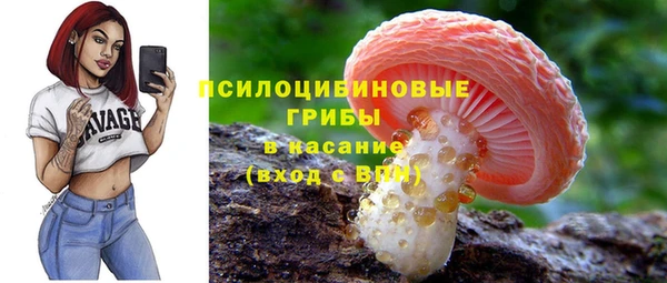дурь Белоозёрский
