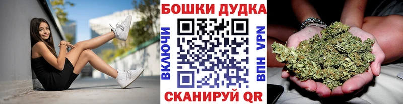 наркотики  Курильск  mega ССЫЛКА  Каннабис гибрид 